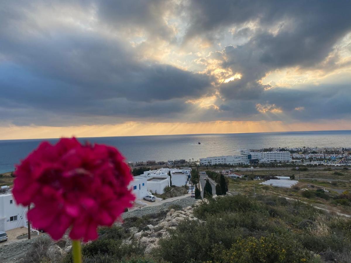Melania Gardens Apartment 2 Paphos Eksteriør billede