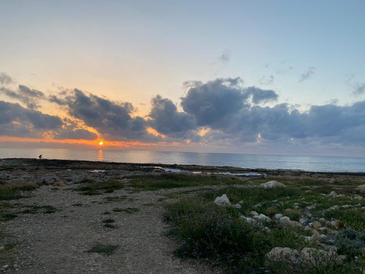 Melania Gardens Apartment 2 Paphos Eksteriør billede